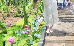 果冻传媒官方网站入口